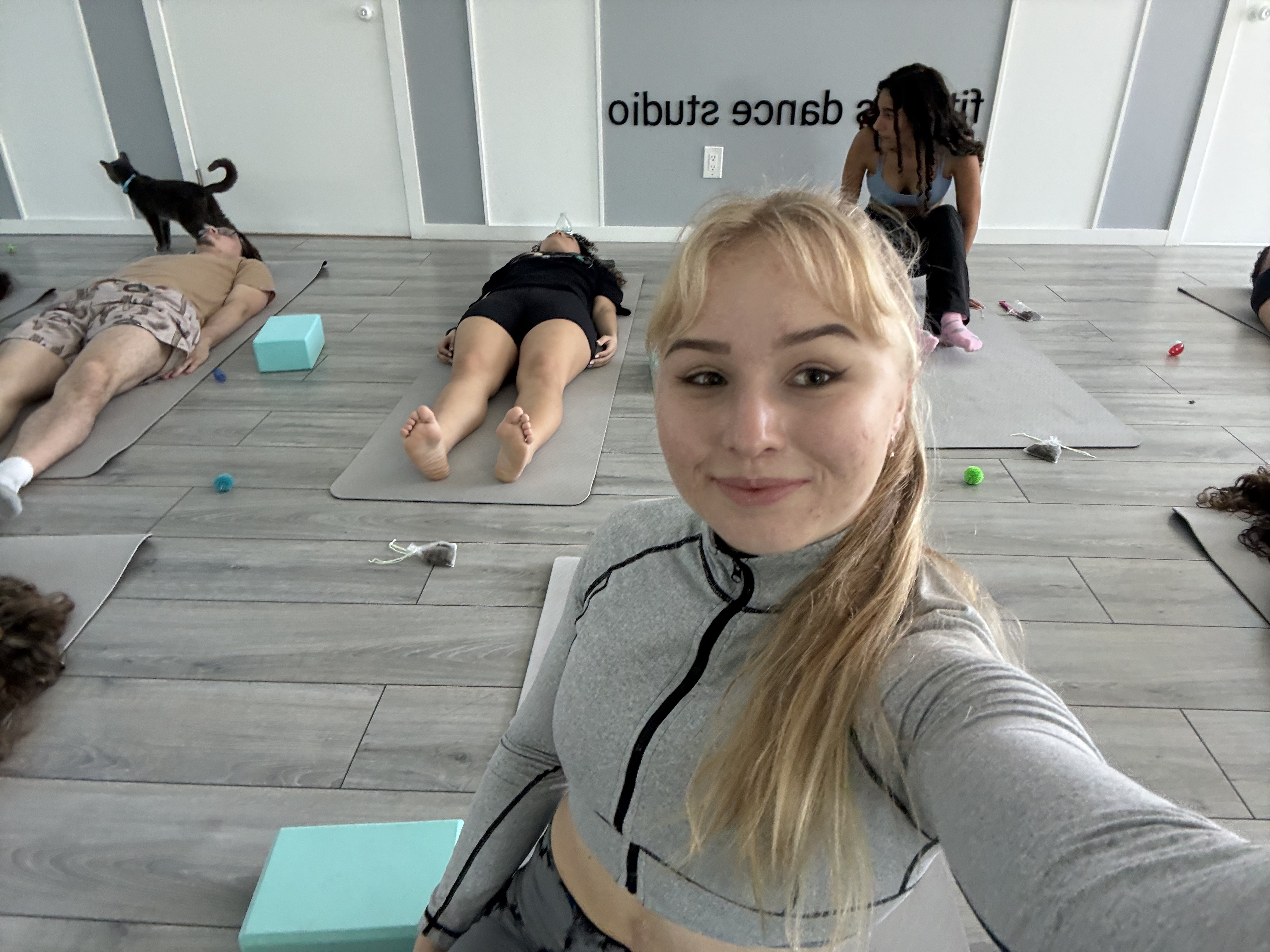 Relaxing pilates session with playful cats walking around